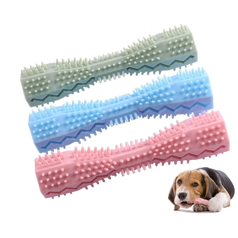 Brosse à Dent Ludique pour Chien - Jouet à Mâcher Nettoyant