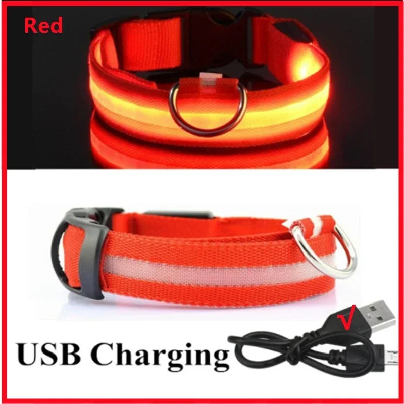 Collier Lumineux LED USB pour Chien - Rechargeable 3 Modes