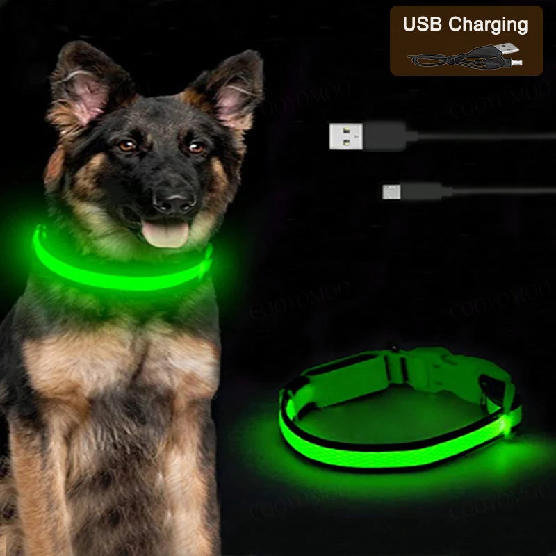 Collier Lumineux LED USB pour Chien - Rechargeable 3 Modes