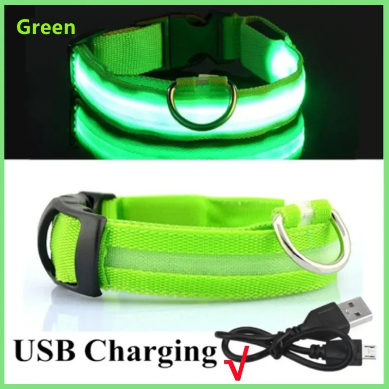 Collier Lumineux LED USB pour Chien - Rechargeable 3 Modes