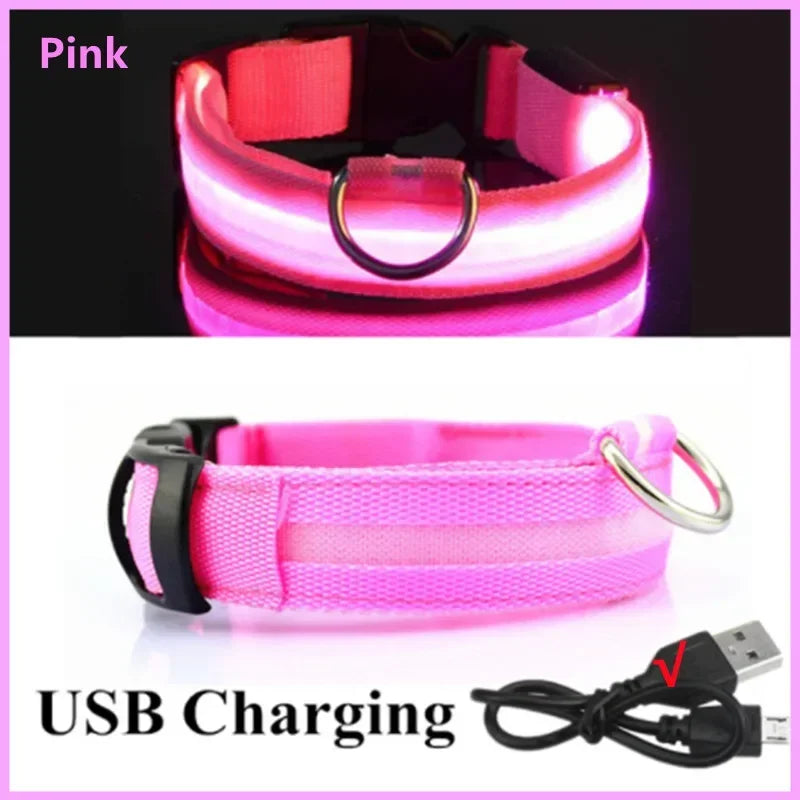 Collier Lumineux LED USB pour Chien - Rechargeable 3 Modes