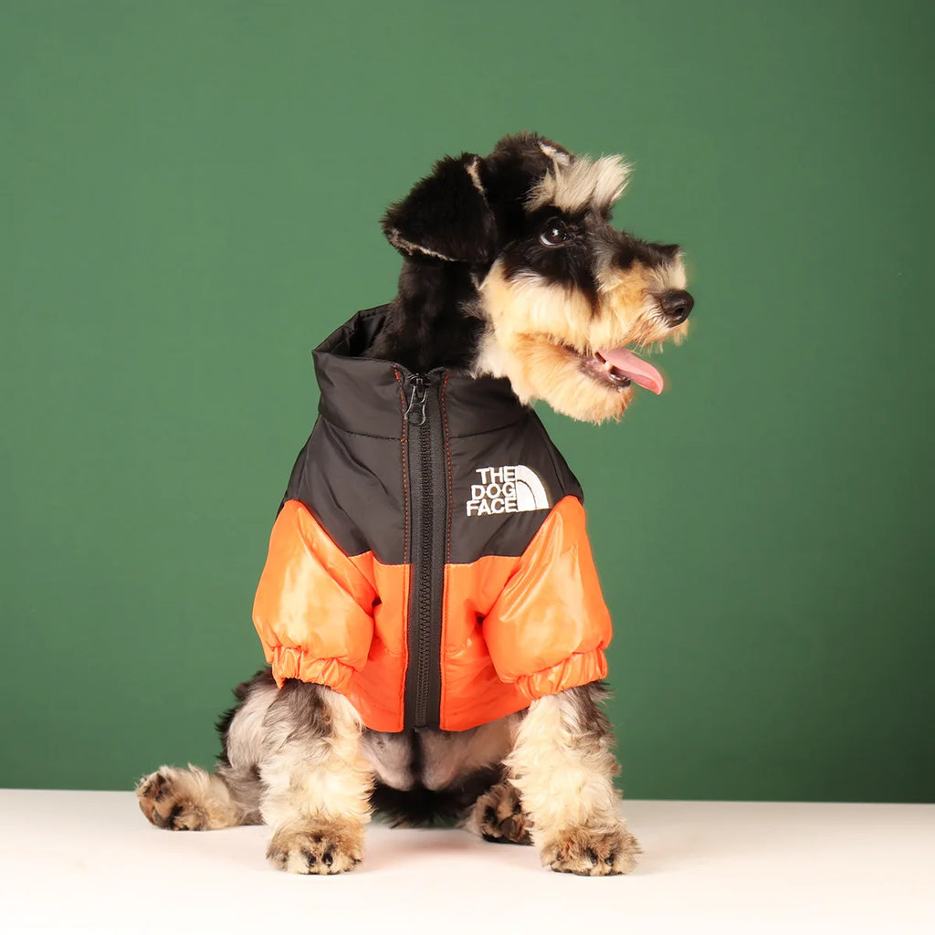 Coupe Vent pour Chien - Veste Imperméable Réfléchissante