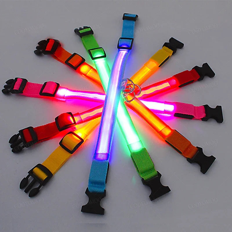 Collier Lumineux LED USB pour Chien - Rechargeable 3 Modes