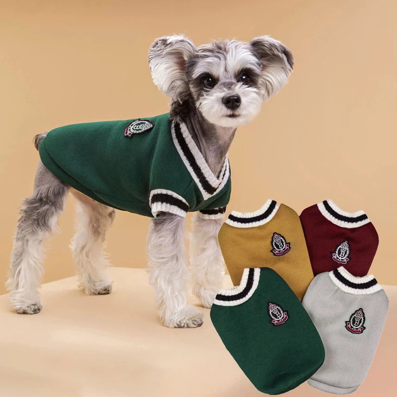 Pull Type Universitaire pour Chien - Style College