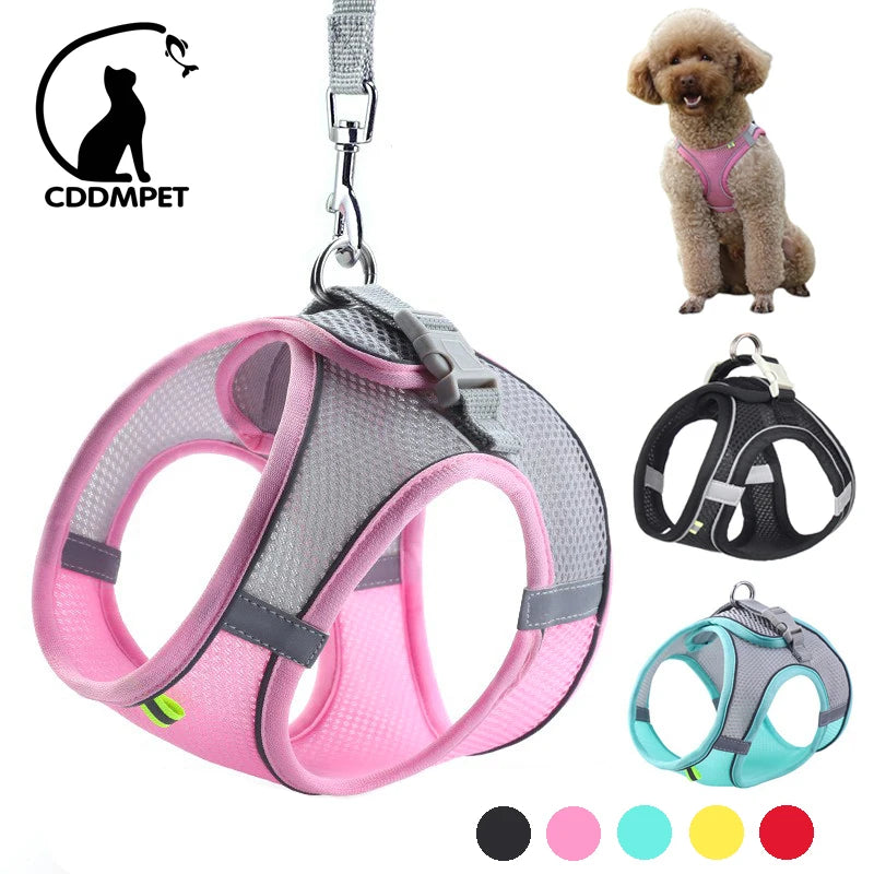 Harnais Réglable + Laisse pour Petit Chien - Confortable