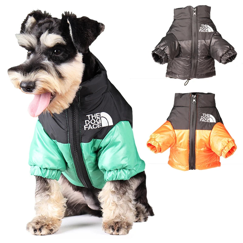 Coupe Vent pour Chien - Veste Imperméable Réfléchissante