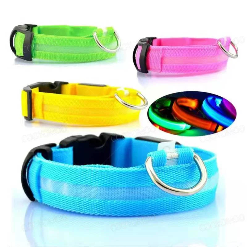 Collier Lumineux LED USB pour Chien - Rechargeable 3 Modes